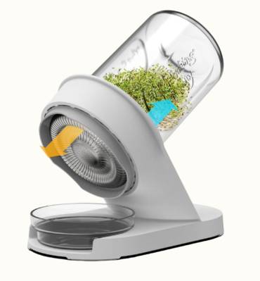 Starter Bundle: Lentils