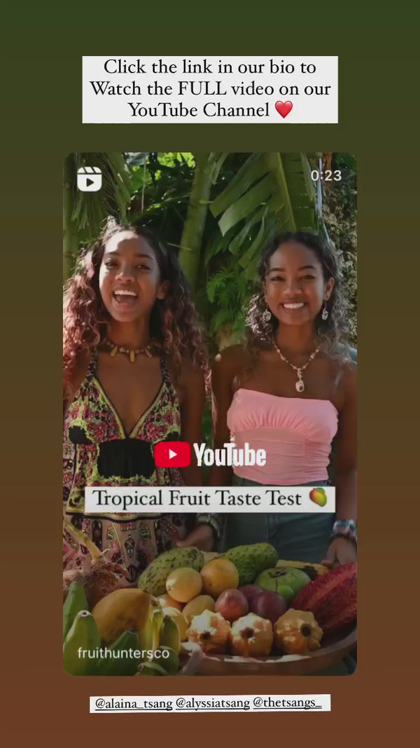 Snapinst.app_video_AQPnpt1hjcJIsBG0CcFQkFpXtXBBdfhsD7WTYDetk4kJILXaQWTUpHXE_jnC8VVvH_n0LLvpv2oe7P3ZwJxicgazOBgtbVlz41BzY4Y.mp4